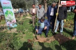 کاشت نهال به مناسبت روز درختکاری توسط شهردار مسجدسلیمان