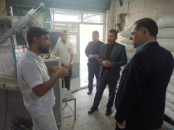 فرماندار مسجدسلیمان در ساعات اولیه صبح امروز از نانوایی های سطح شهر بازدید کرد