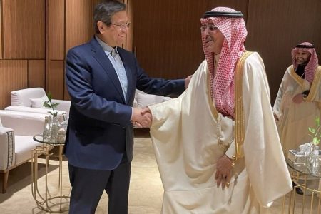 دیدار همتی با وزیر دارایی عربستان/ مذاکره طرفین در خصوص مسائل مالی حجاج دیدار همتی با وزیر دارایی عربستان/ مذاکره طرفین در خصوص مسائل مالی حجاج