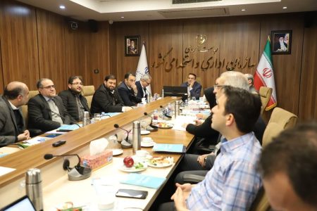 رفیعزاده: فعالیت سازمان اداری و استخدامی غیر سیاسی است رفیعزاده: فعالیت سازمان اداری و استخدامی غیر سیاسی است