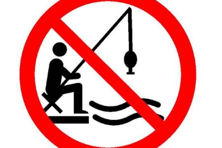 آغاز ممنوعیت صید ماهی همزمان با فصل زادآوری در شهرستان مسجدسلیمان