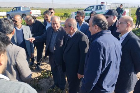 عضو هیات رییسه مجلس: خسارت بخش کشاورزی طی ۱۵ سال اخیر جبران نشده است عضو هیات رییسه مجلس: خسارت بخش کشاورزی طی ۱۵ سال اخیر جبران نشده است