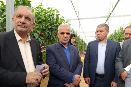 رییس کمیسیون کشاورزی مجلس: حوزه کشاورزی در برنامه هفتم توسعه مورد توجه قرار گرفت