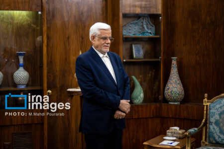 عارف: غرب به ایران هراسی و آفریقا گریزی دامن زده است عارف: غرب به ایران هراسی و آفریقا گریزی دامن زده است