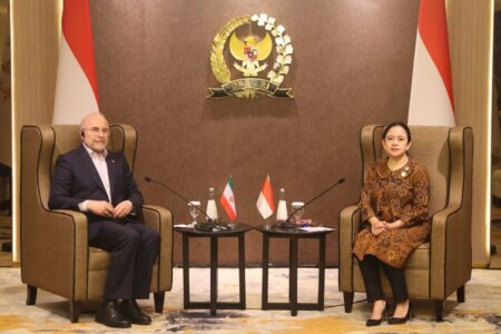 روسای مجالس ایران و اندونزی دیدار کردند روسای مجالس ایران و اندونزی دیدار کردند