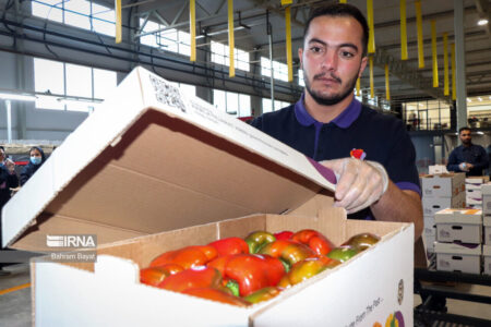 معاون وزیر جهاد کشاورزی: محصولات باغی و زارعی ایران به ۸۰ کشور جهان صادر میشود معاون وزیر جهاد کشاورزی: محصولات باغی و زارعی ایران به ۸۰ کشور جهان صادر میشود