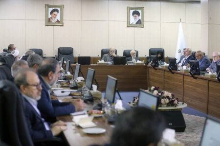 ورود هیات عالی نظارت مجمع به ارزیابی تحقق سیاست‌های کلی جمعیت