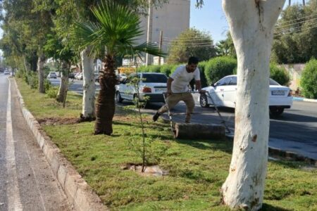 گام تازه شهرداری مسجدسلیمان در توسعه و زیباسازی فضای سبز شهری