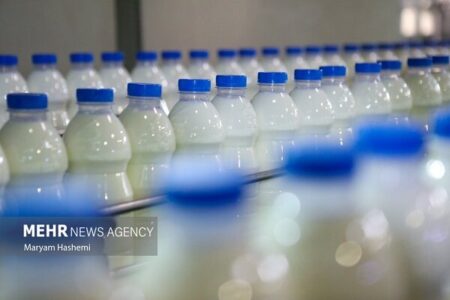 افزایش صادرات شیر یارانه‌دار در قالب شیر خشک صنعتی