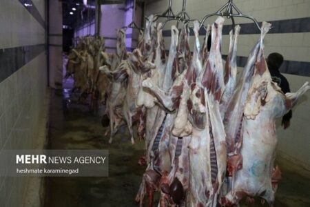 ثبت سفارش گوشت قرمز فردا آغاز می‌شود