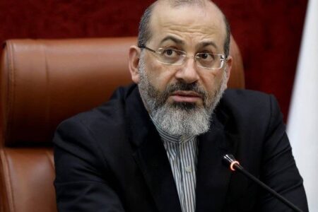 دستغیب: مفهوم «مالکیت عمومی» باید به صورت دقیق بازتعریف شود