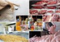 سکته ارزی کالاهای اساسی و تامین امنیت غذایی سکته ارزی کالاهای اساسی و تامین امنیت غذایی