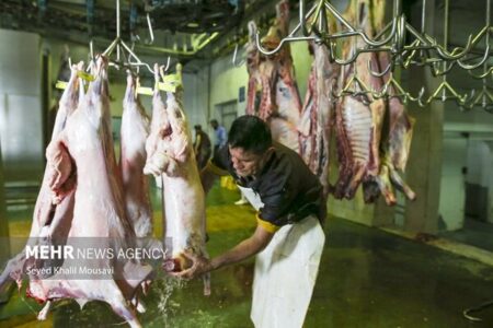واردات دام و گوشت قرمز از پاکستان تحت نظارت بهداشتی و قرنطینه‌ای است