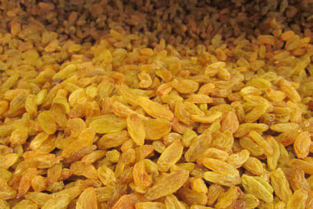 کشمش خلیلآباد؛ سرمایهای ملی زیر سایه خشکسالی و بیثباتی بازار کشمش خلیلآباد؛ سرمایهای ملی زیر سایه خشکسالی و بیثباتی بازار