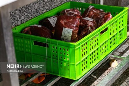 گوشت گوساله تنظیم بازاری کیلویی ۸۰۹ هزار تومان عرضه شد گوشت گوساله تنظیم بازاری کیلویی ۸۰۹ هزار تومان عرضه شد