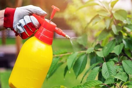 یک علف‌کش پرخطر حذف شد