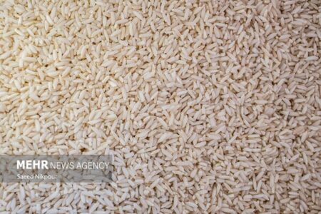 بازار برنج با توزیع محمولههای وارداتی ساماندهی میشود بازار برنج با توزیع محمولههای وارداتی ساماندهی میشود