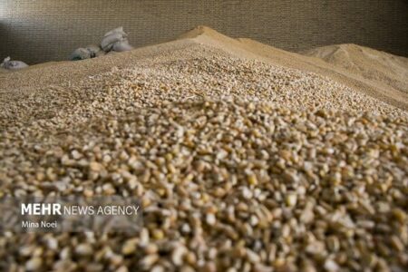 ورود قوه قضاییه به بحران نهادههای دامی ورود قوه قضاییه به بحران نهادههای دامی