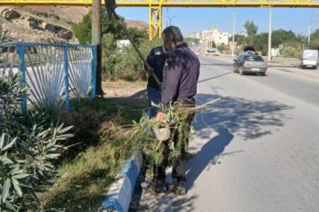 حرکت سبز شهرداری در سطح شهر؛ کاشت و ساماندهی فضای سبز در محورهای اصلی